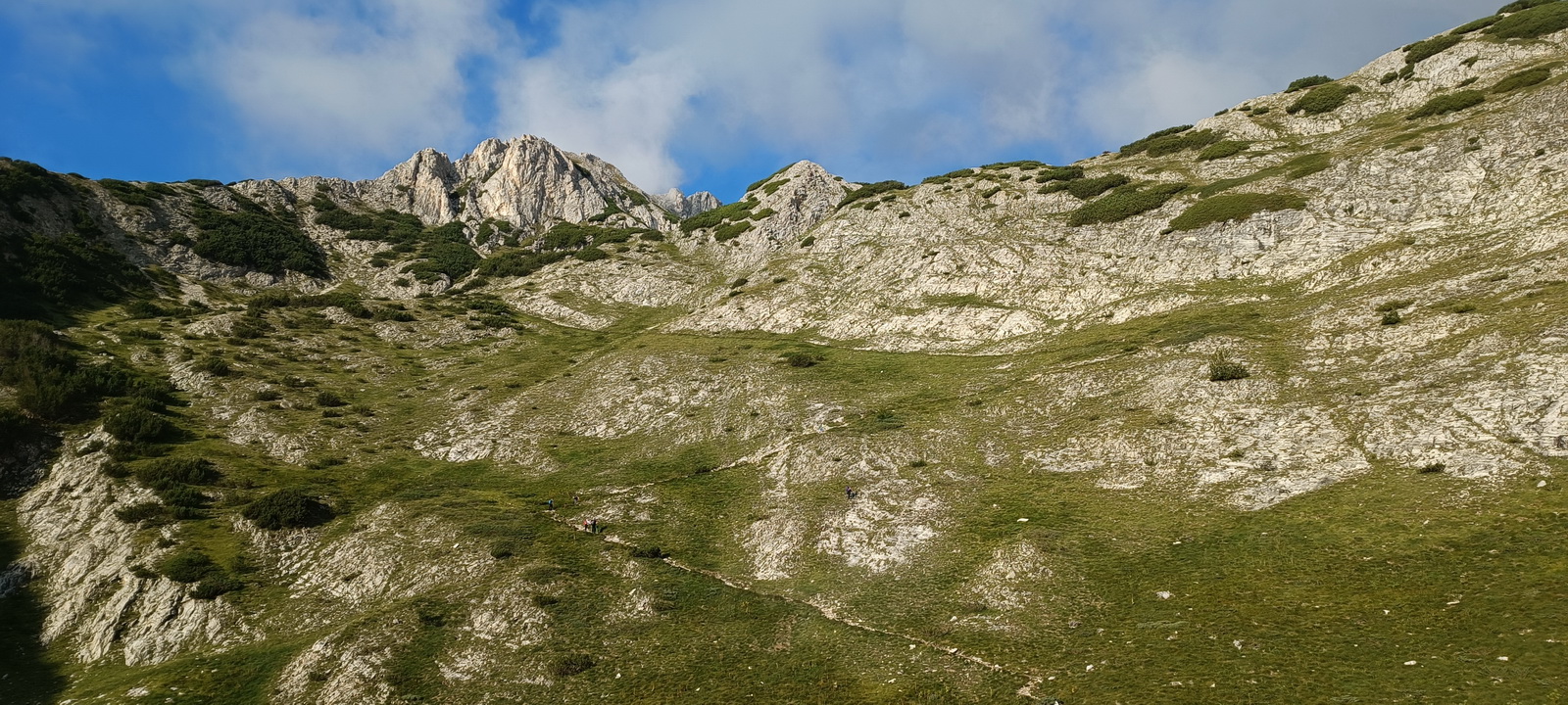 Pirin